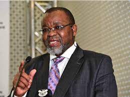 South Africa’s Gwede Mantashe is Right: Energy Transition Must Be Guided By Reason, By NJ Ayuk