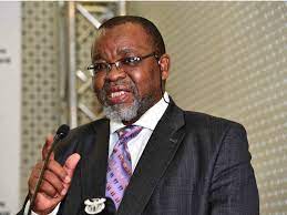 Gwede Mantashe