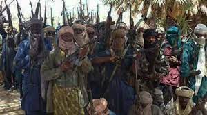 Bandits Kidnap 22 Persons In Kaduna Hours After IGP’s Visit