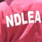 Ndlea