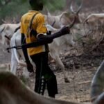 Tension In Bayelsa Community Over Woman’s Alleged Killing By Fulani Herdsmen