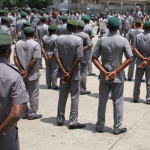 Customs confiscate suspected cannabis worth N20.6m