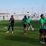 NFF-Employs-Two-Additional-Foreign-Coaches-for-Super-Falcons-min-1-1024×498-1